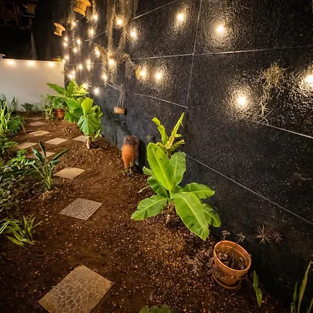 Villa Madeira Garden