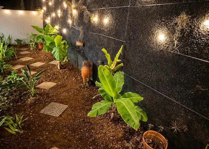 Villa Madeira Garden